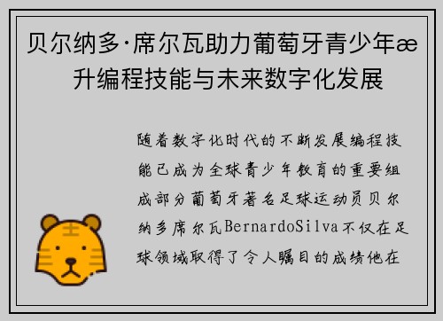 贝尔纳多·席尔瓦助力葡萄牙青少年提升编程技能与未来数字化发展 贝尔纳多·席尔瓦助力葡萄牙青少年提升编程技能与未来数字化发展