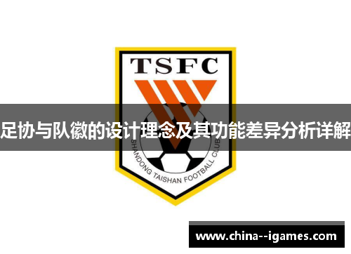 足协与队徽的设计理念及其功能差异分析详解
